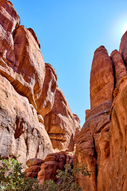 istock Arches National Park landscape view with blue sky. 1263555765