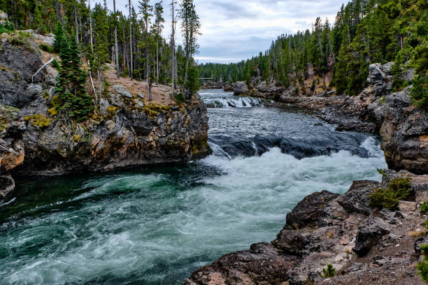 istock Yellowstone National Park - madison River, USA. 1263555894