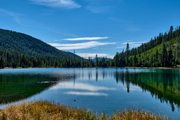 istock Yellowstone National Park in Wyoming. 1263555964