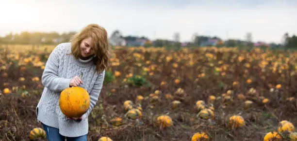 Woman with a pumpkin on a pumpkin field