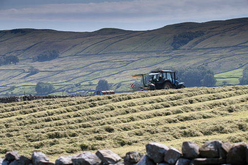 a crop in a field recently cut by a tractor showing a drystone wall in the foreground and hills in the background