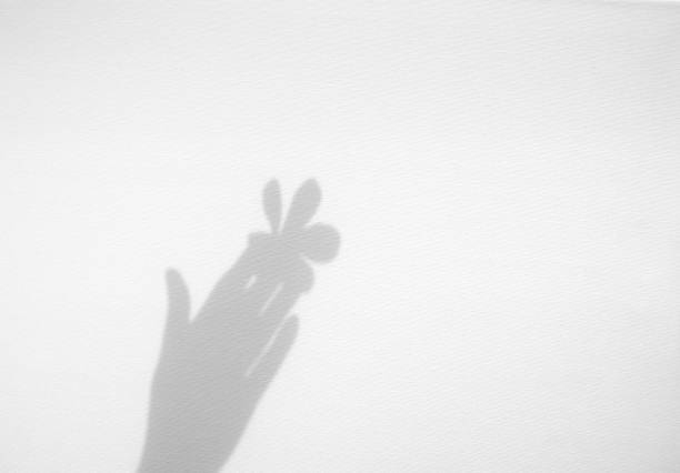 istock Realistic hand holding organic flower natural shadow overlay effect on white texture background, for overlay on product presentation, backdrop and mockup 1263560658