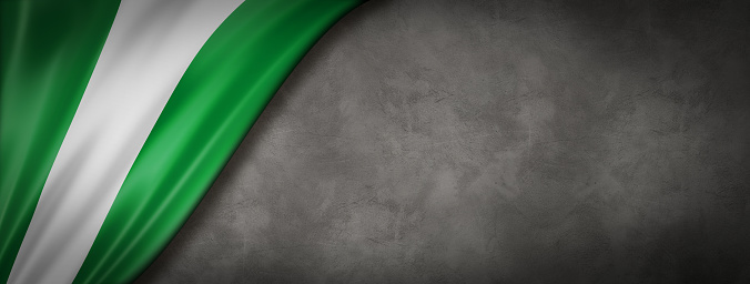 Nigeria flag on concrete wall. Horizontal panoramic banner.