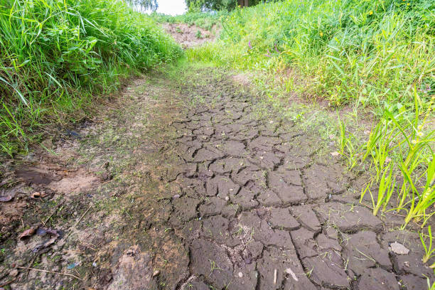 Dutch desiccated ditch in dry summer season stock photo