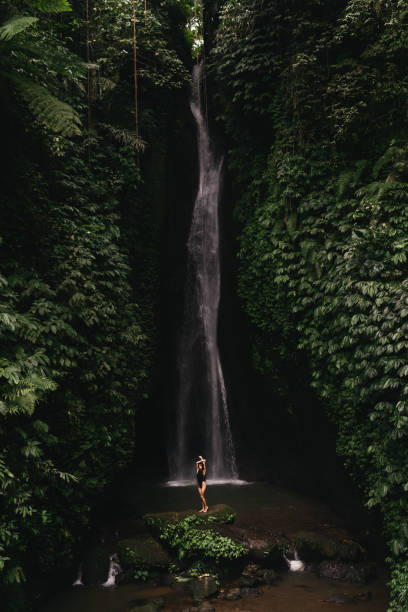istock young woman backpacker looking at the waterfall in jungles. 1263564341