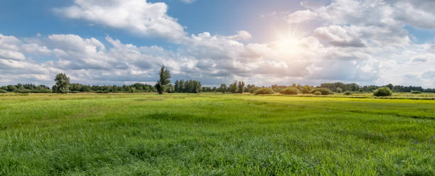 panoramablick auf eine belgische natur- und wiesenlandschaft bei sonnenuntergang. - flanders stock-fotos und bilder