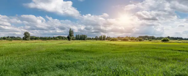 Panoramic landscape with beautiful grass field in the countryside of Viersel, Zandhoven, Province of Antwerp, Belgium. Sunny day with blue sky, white clouds in the summer season. Wide image.