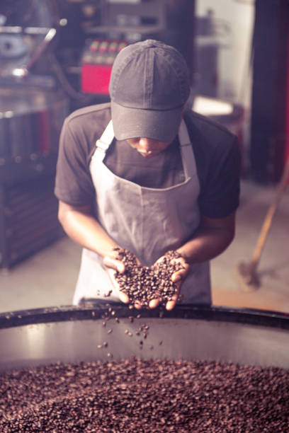 istock Barista checking freshly roasted beans vertical 1263569869