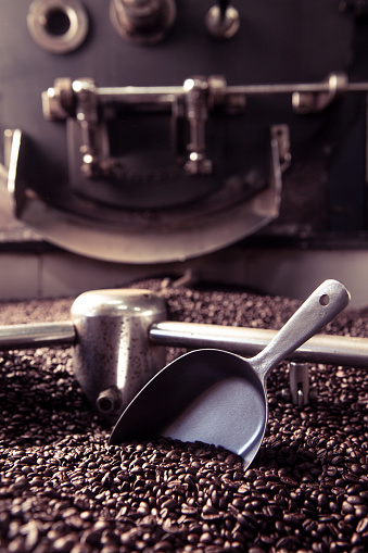 Low angle view of roasting coffee beans