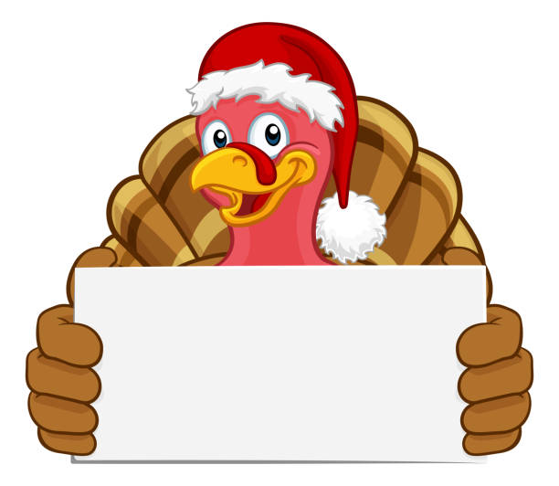 Turkey In Santa Hat Christmas Cartoon Holding Sign Turkey Christmas or Thanksgiving Holiday cartoon character wearing a Santa Claus hat and holding a sign with copy space turkey bird stock illustrations