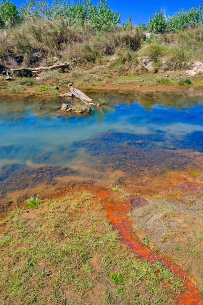 istock Babai River, Royal Bardia National Park, Nepal 1263573179