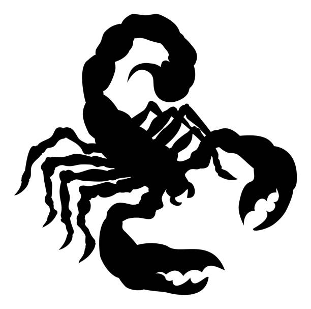 ilustrações de stock, clip art, desenhos animados e ícones de scorpion animal silhouette - escorpião aracnídeo