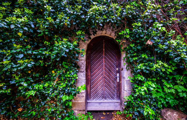 istock old wooden door 1263581172