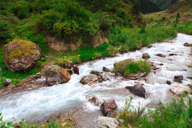 istock Mountain river among green mountains. Summer landscape. 1263585231