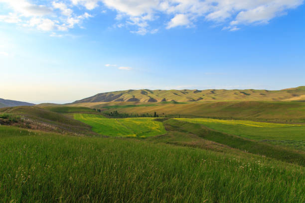 istock Beautiful spring and summer landscape. Lush green hills. Spring blooming herbs. 1263588527