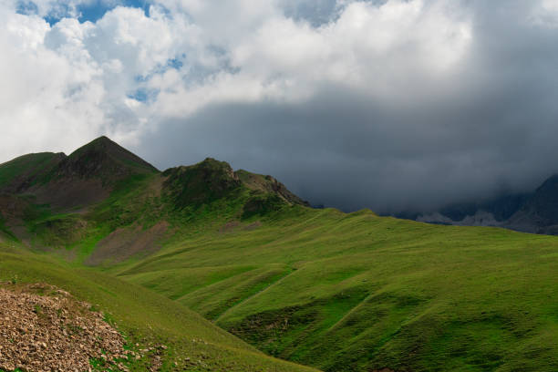 istock Alpine meadow covered with green grass under thick clouds 1263594699