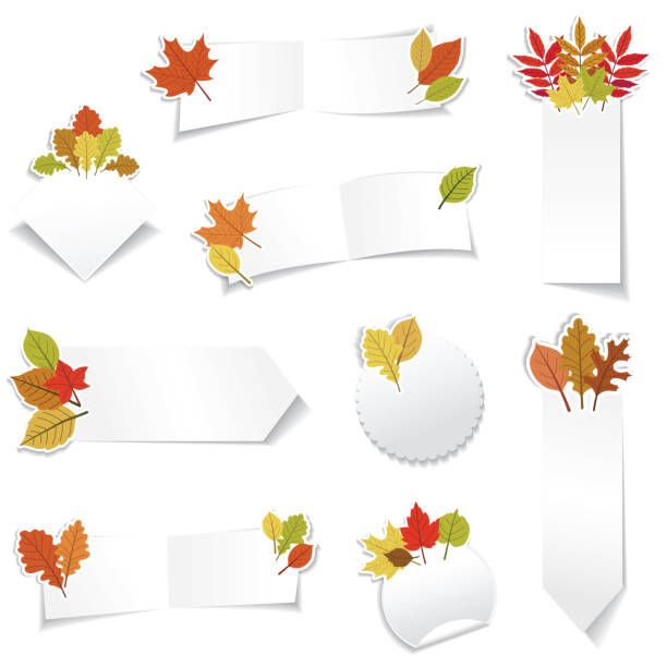 herbst verkauf store banner aufkleber - banner origami ribbon green stock-grafiken, -clipart, -cartoons und -symbole