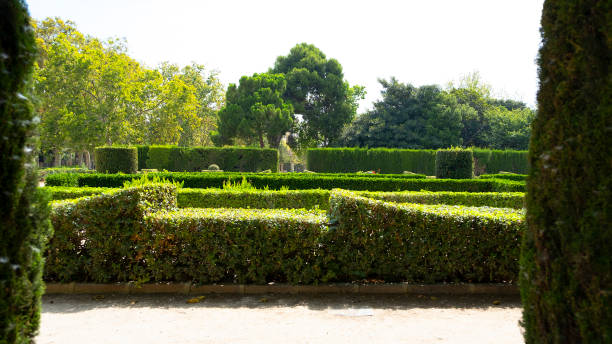 istock City park of Valencia 1263596818
