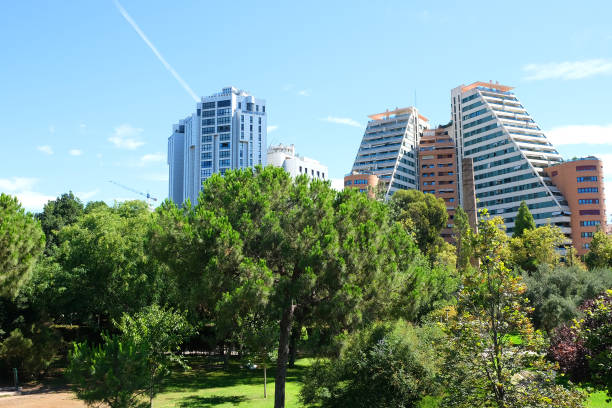istock Blue Sky and green park 1263601076