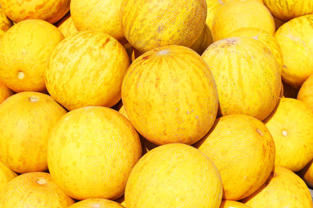 istock Fresh, ripe, yellow melons close-up as background 1263609122