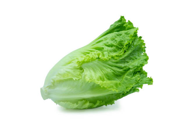 istock Fresh green Lettuce leaves, Salad leaf isolated on white background. with clipping path. 1263611721