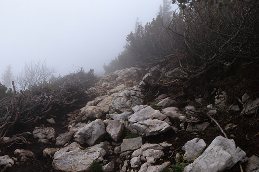 Terrible path across the hinterland on the Hochlantsch mountain in the Fischbach Alps, Austria. A muddy path carved into the rock. Dangerous route. Absolute concentration.