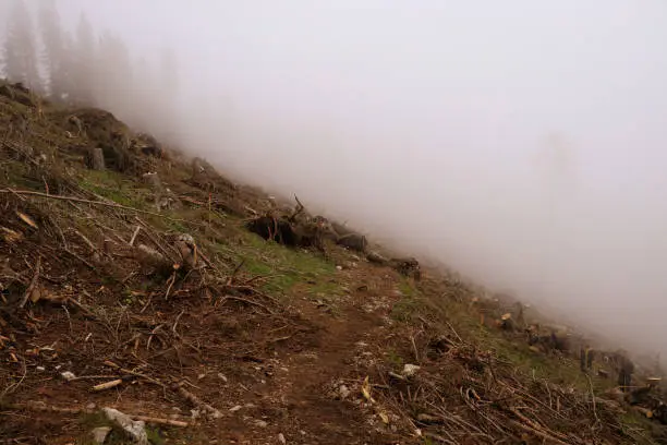 Mysterious path across the hinterland on the Hochlantsch mountain in the Fischbach Alps, Austria. Devastated nature after the destructive forces of the natural elements.