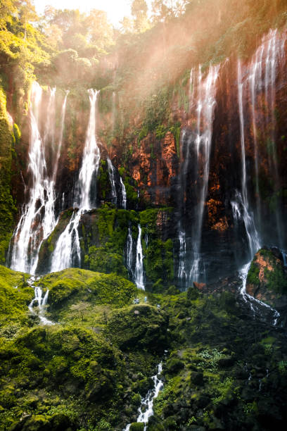 sewu waterfall, lumajang, east java - sanur imagens e fotografias de stock