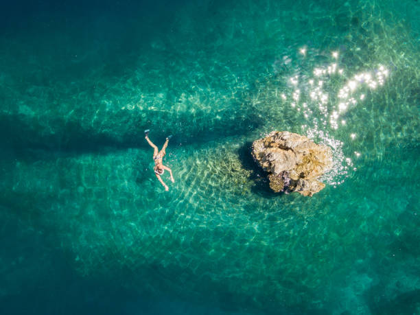 Woman snorkeling above amazing reef Woman snorkeling above amazing reef fish swimming from above stock pictures, royalty-free photos & images