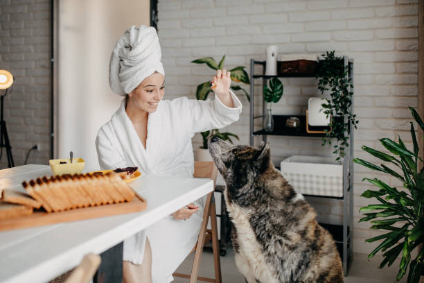 istock Beautiful morning with my dog 1263619363
