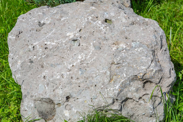 istock Natural stone texture in the garden landscape 1263620598
