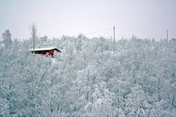 A red wooden house inside a forest during winter