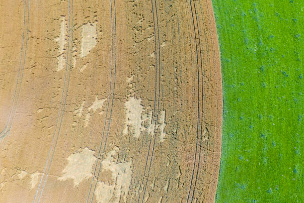 istock Aerial view of fields 1263623527