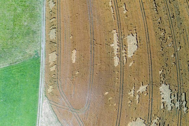 istock Aerial view of fields 1263623544