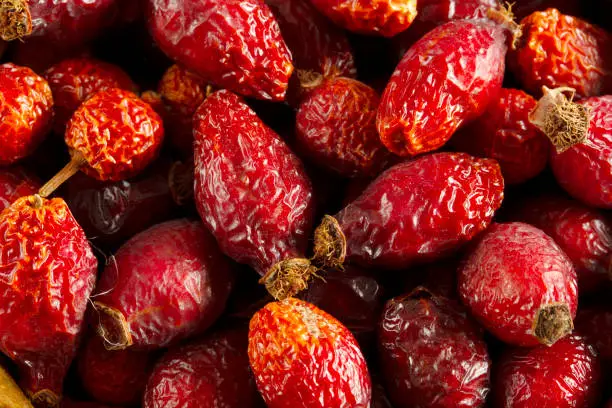 Photo of Dried berries of rose hips. Dried fruits.