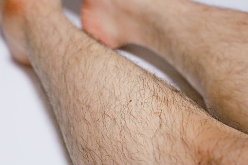 Mans Shin Hair Stock Photo - Download Image Now - Leg Hair, Men, Adult - iStock Mans Shin Hair Stock Photo - Download Image Now - Leg Hair, Men, Adult - iStock