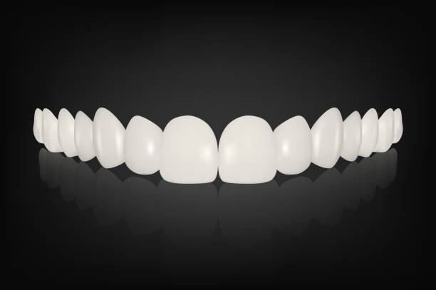 ilustrações, clipart, desenhos animados e ícones de vetor 3d render white denture set closeup isolado. odontologia e design de ortodontia. dentes humanos para conceito médico e de pasta de dente. higiene bucal saudável, prótese da mandíbula, folclores - dental implant dental hygiene dentures prosthetic equipment