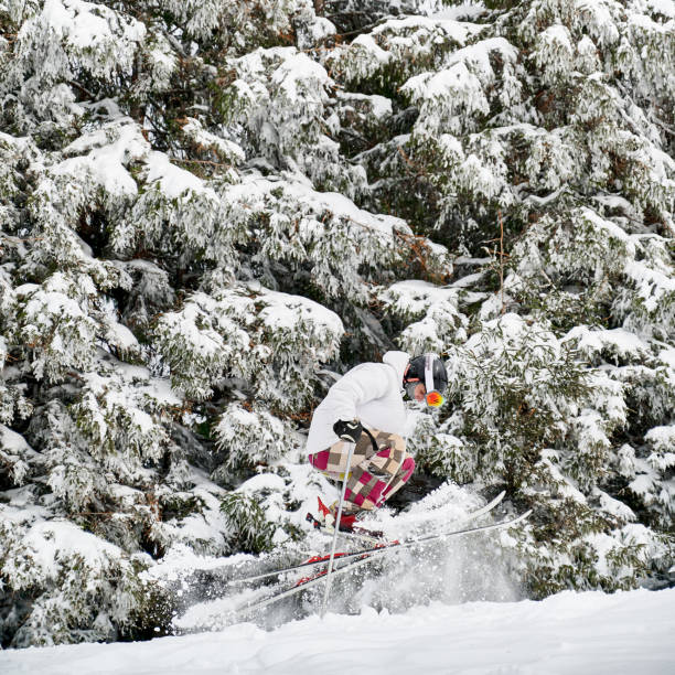 스포츠의 겨울 종류. 겨울 철에 산에서 트릭을하는 스키어 - powder snow skiing agility jumping 뉴스 사진 이미지