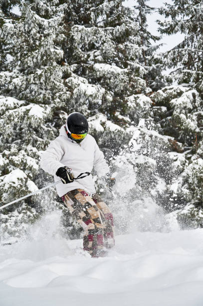 スポーツの冬の種類。冬の季節に山でトリックをするスキーヤー - powder snow skiing agility jumping ストックフォトと画像