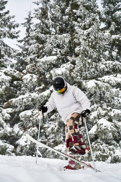 スポーツの冬の種類。冬の季節に山でトリックをするスキーヤー - powder snow skiing agility jumping ストックフォトと画像