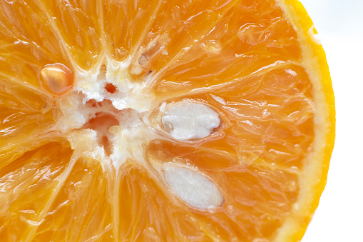 Orange in detail. White background.