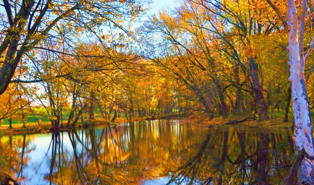 Fall Colors-Wild Cat Creek-Kokomo Indiana