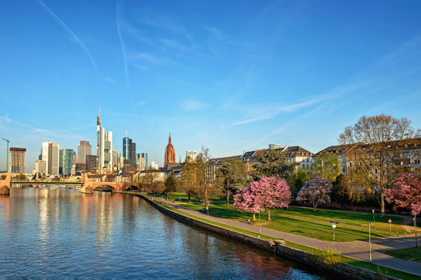istock Frankfurt am Main with blooming Sakura, Germany 1263631142