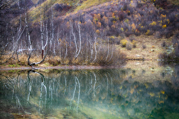 istock Autumn landscape in Caucasus mountains 1263632776