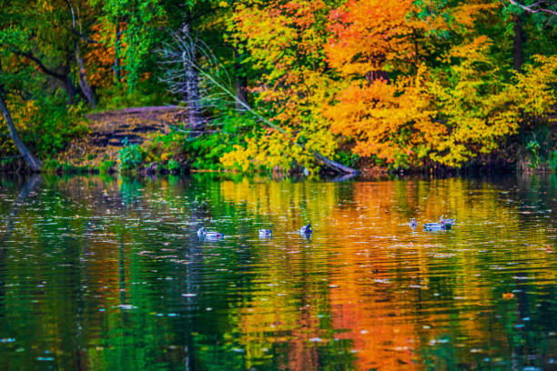 istock evening landscape with a lake at sunset 1263635845