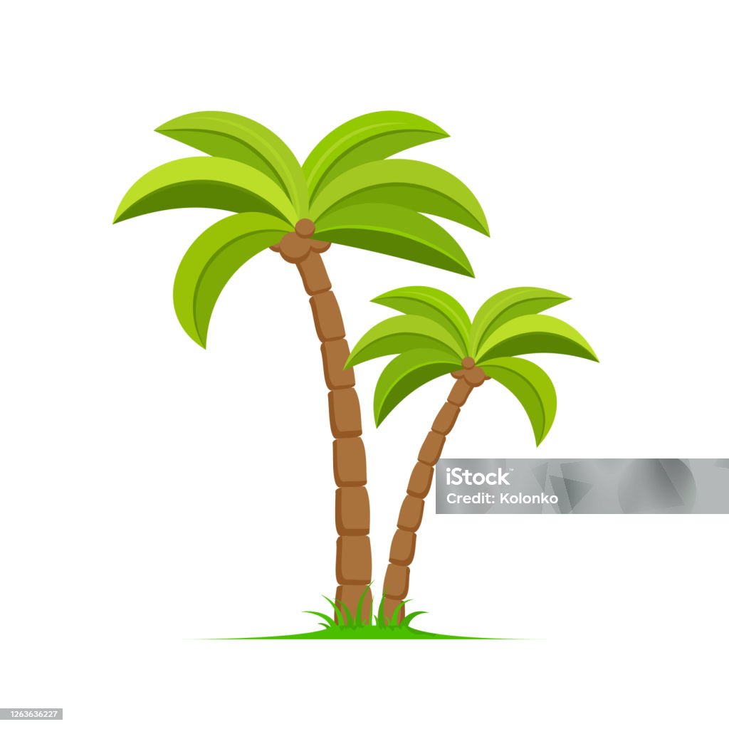Ícone do desenho animado da ilha de coco da ilha vetorial de palmeiras. Deserto da ilha de Palmtree ícone tropical isolado - Vetor de Palmeira royalty-free
