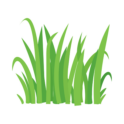 Grass Vector Cartoon Texture Grass Field Shape Green Silhouette Plant Bush  Stock Illustration - Download Image Now - iStock