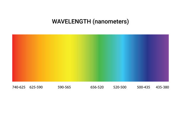 광 스펙트럼 색상 전자기 파장 방사선 프리즘 라인, 가시 스펙트럼 - 스펙트럼 stock illustrations
