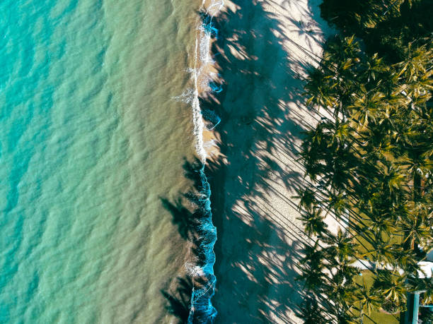 Drone shot of a beach Drone shot of a beach with palm trees shadows cairns photos stock pictures, royalty-free photos & images