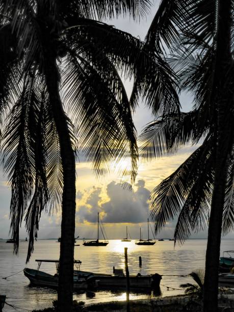 istock The Golden Caribbean Sea 1263640754